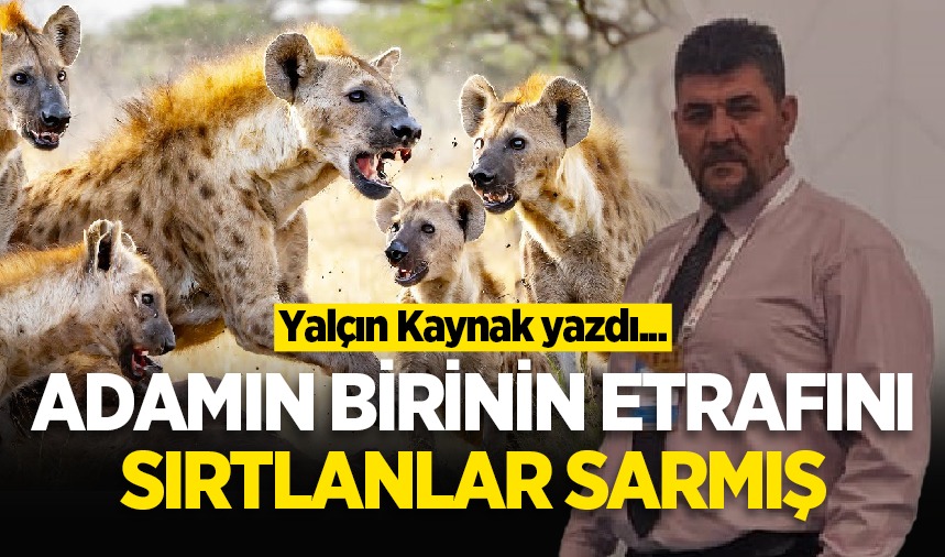 Adamın birinin etrafını sırtlanlar sarmış!